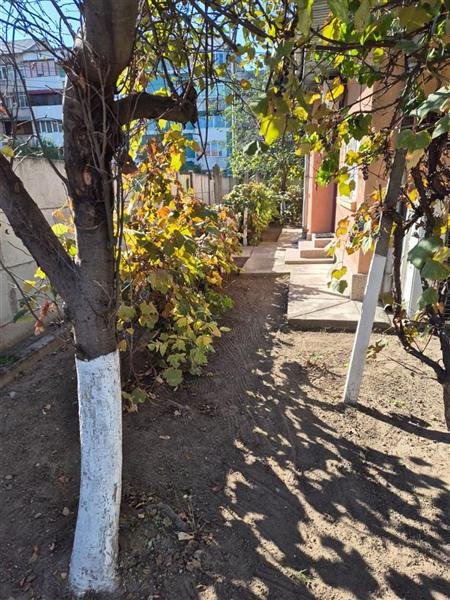 Casa cu teren in zona Gara - Piata Garii