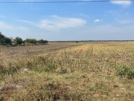Teren constructii de vânzare, în Băneasa