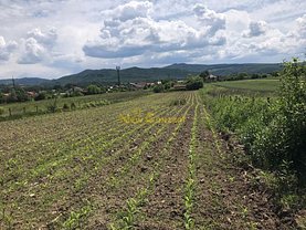 Teren agricol de vânzare, în Bujoreni, zona Bujoreni