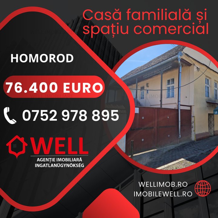 De vânzare casă familială și spațiu comercial în Homorod