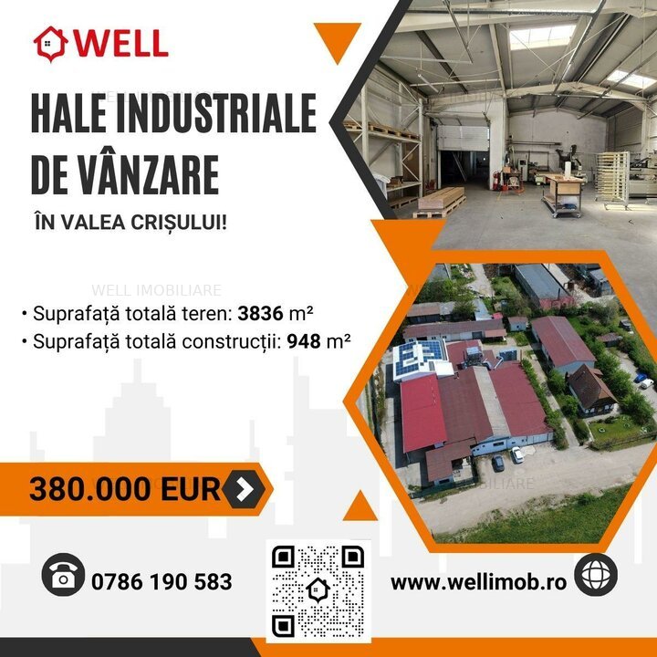 Hale industriale de vânzare în Valea Crișului!