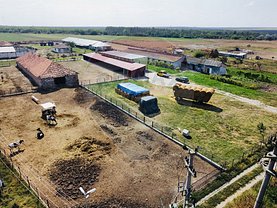 Vânzare spaţiu industrial în Pecineaga