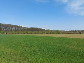 Teren agricol de vânzare, în Puchenii Mari, zona Nord