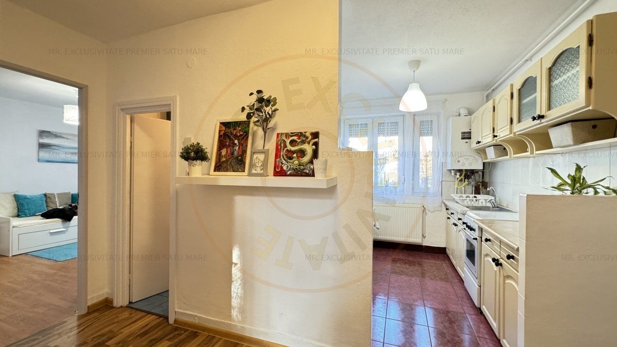 Apartament 2 camere Parter Republicii - Carei - Comision 0% cumparator