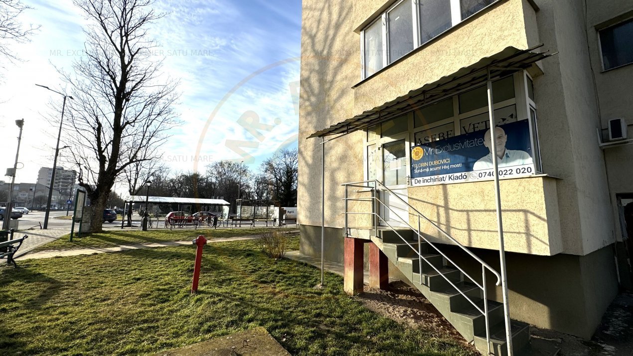 De Inchiriat Spatiu Comercial 45 mp - Pta. A. Iancu - Carei