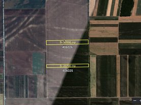 Teren agricol de vânzare, în Sânnicolau Mare