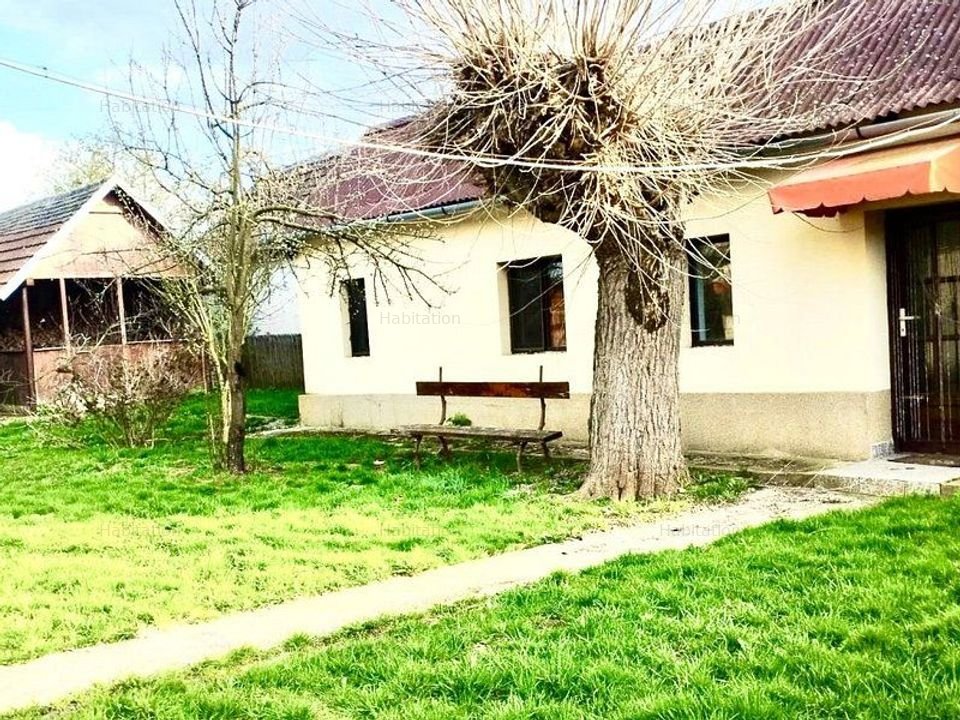 Casa situata central cu teren in suprafata de 5036 mp