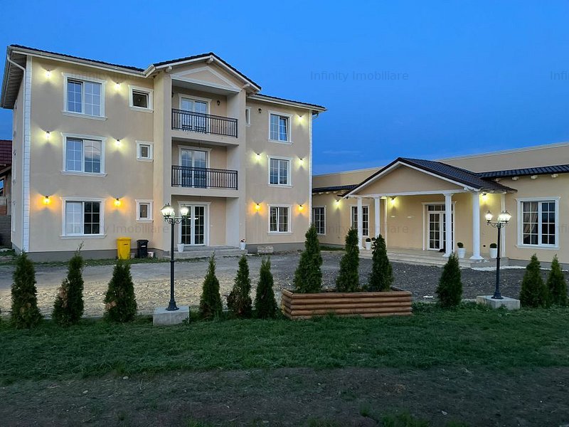 Vanzare spatiu comercial in Remetea Mare in RemeteaMare