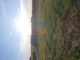 Teren agricol de vânzare, în Moşniţa Nouă, zona Central