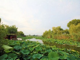 Teren constructii de vânzare, în Ghermăneşti