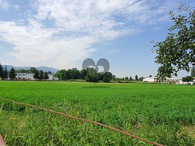 Teren agricol de închiriat, în Braşov, zona Griviţei