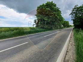 Teren agricol de vânzare, în Baluseni