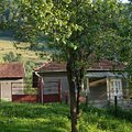 Casa de vânzare 4 camere, în Buceş