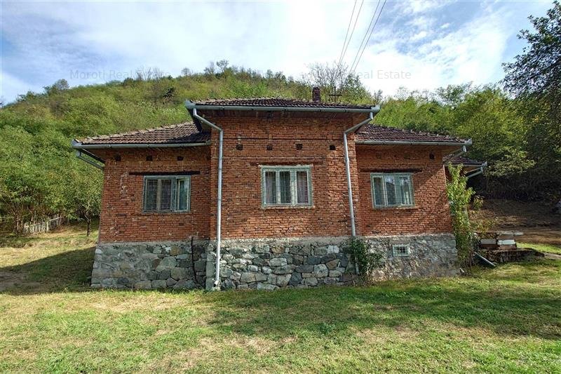 Un hectar de teren si casa langa padure. Proprietate deosebita in Dumbrava de Jo