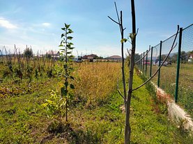 Teren constructii de vânzare, în Braşov, zona Stupini