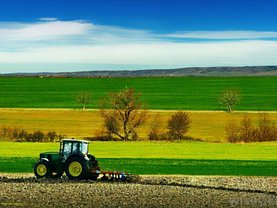 Teren agricol de vânzare, în Fibiş