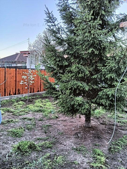 Techirghiol- Casa 3 camere +Mansarda neamenajata cu toate utilitățile
