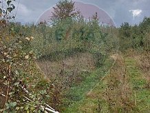 Teren agricol de vânzare în Avrig, Exterior Sud