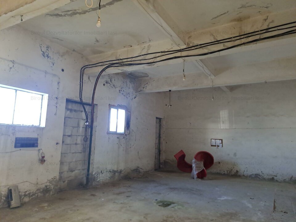 HALA 250 MP, CONTOM -TOMESTI