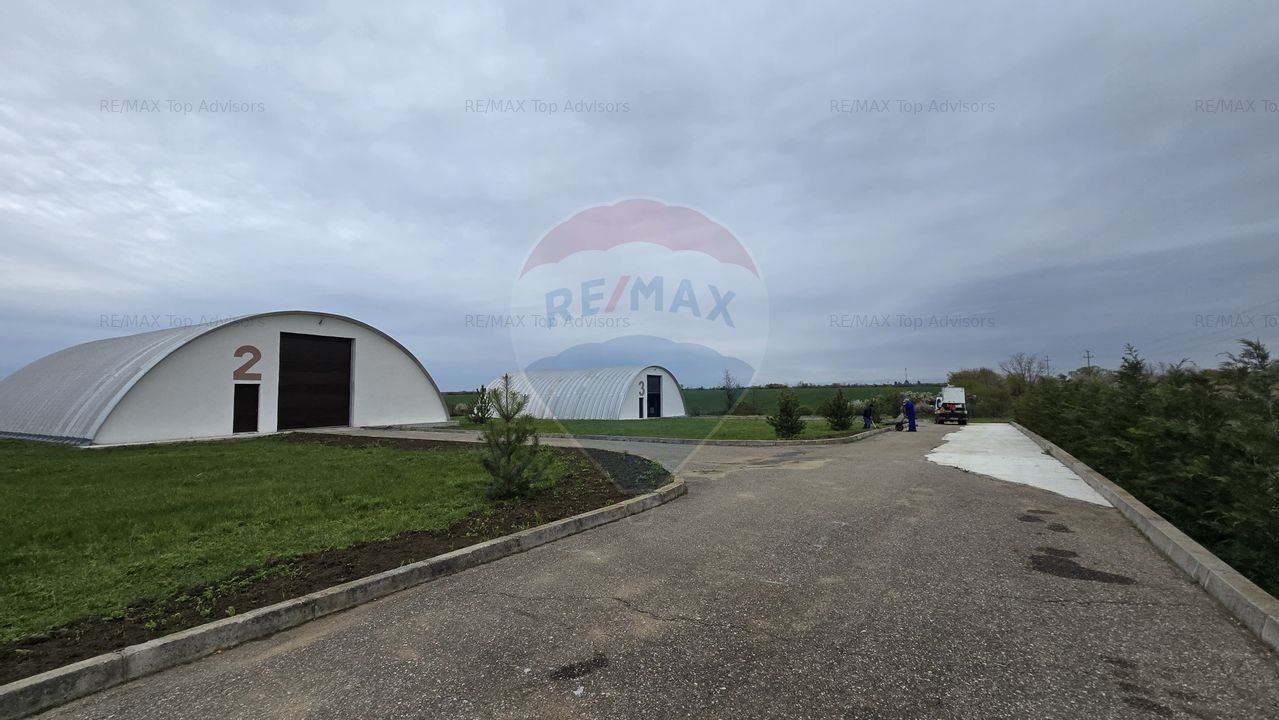 Hale de vanzare | 1407mp | Teren 9344 | Potigrafu