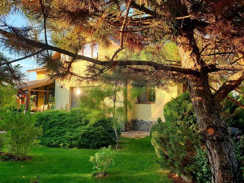 VILA DE VIS IN TANCABESTI - CONFORT SI NATURA, IN APROPIEREA CAPITALEI