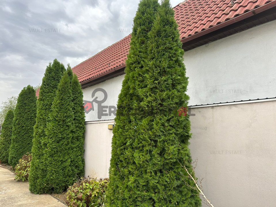 Casa Albesti-1800 mp teren - 10 minute pana in centrul Craiovei