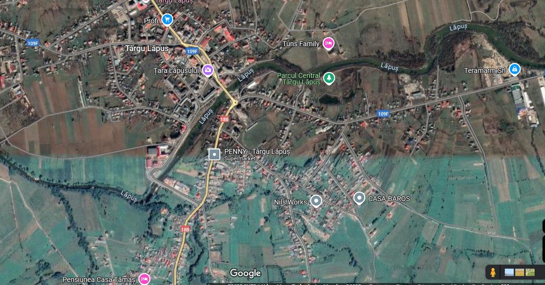 Casa de vanzare Targu Lapus zona centrala cu teren 3800mp si anexe