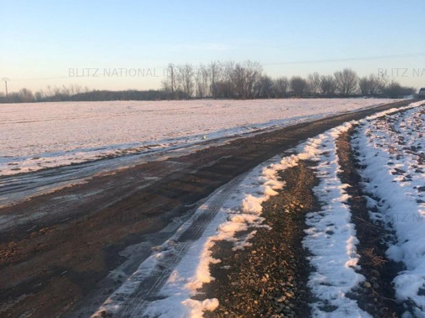 Teren Extravilan Mp In Pischia Teren Constructii De Vanzare In Timi Oara Judetul