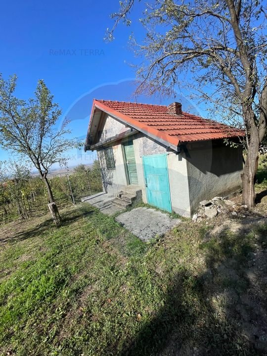 Casa de vacanta de vanzare