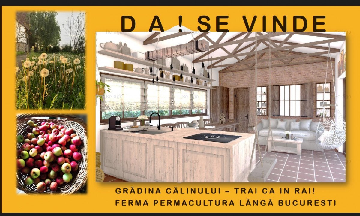 Proiect in derulare // Ferma Calinului Gruiu