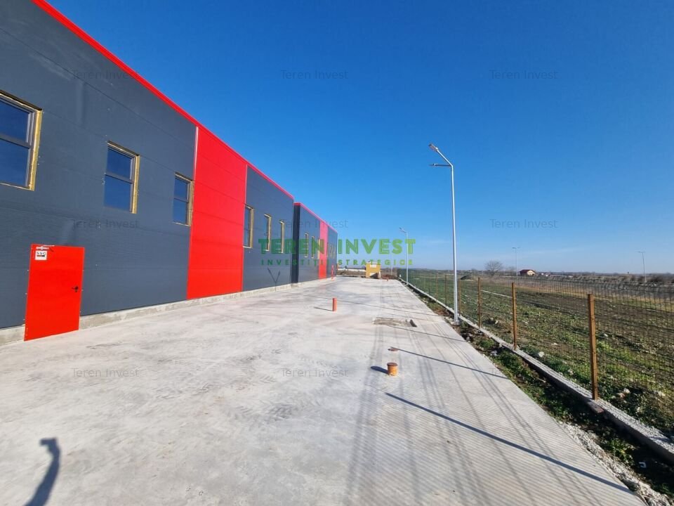 Hala Industriala de Vanzare Locatie Ideala pentru Afacerea Ta!