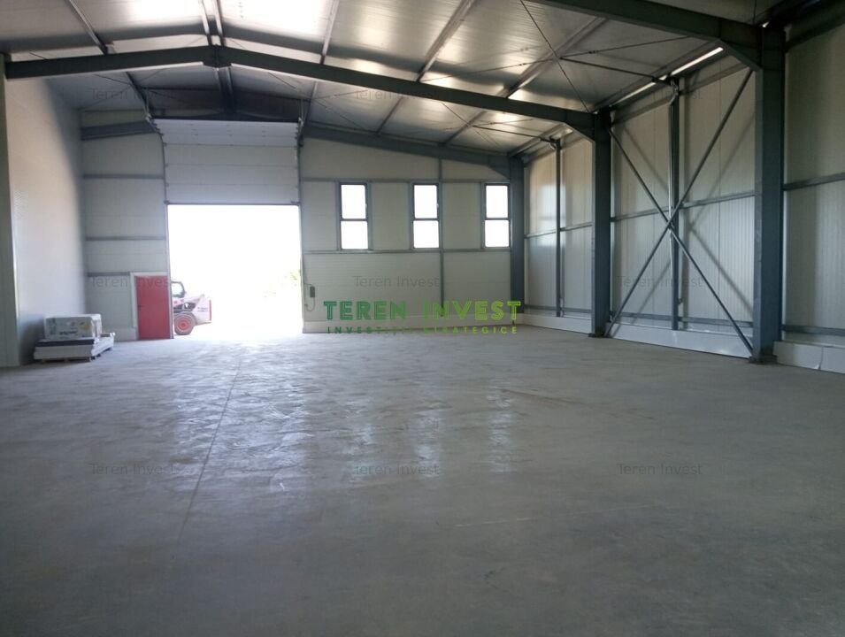 VANZARE HALA INDUSTRIALA - FRUMUSANI