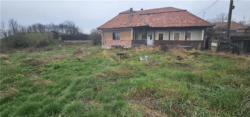 CASA 141 MP CURTE LIBERA 1688 MP