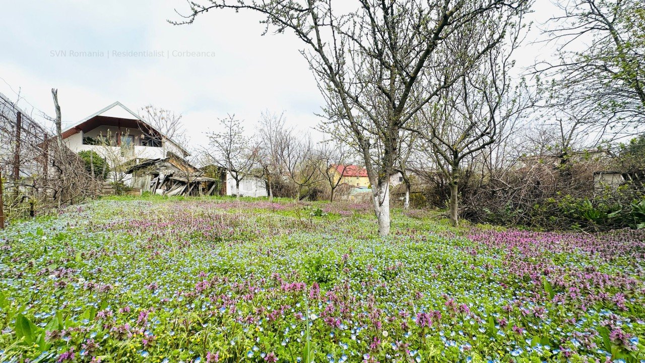 REV2004705 Vila cu teren 636 mp Buftea