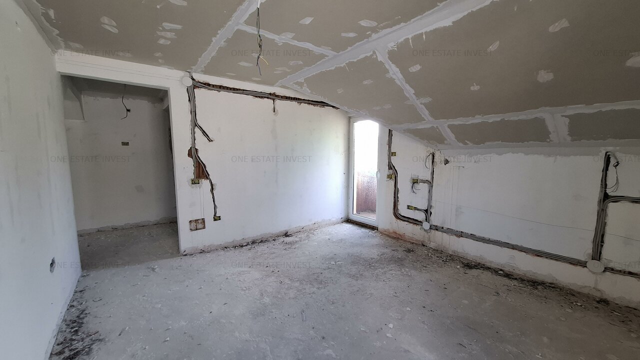 Duplex Carpinis