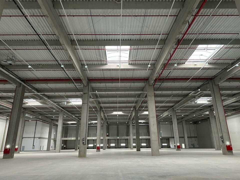 Hală Industrială Multifuncțională – Perfectă pentru Depozitare sau Producție!