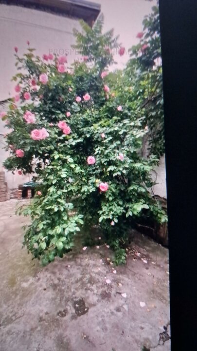 VANZARE CASA MOSILOR