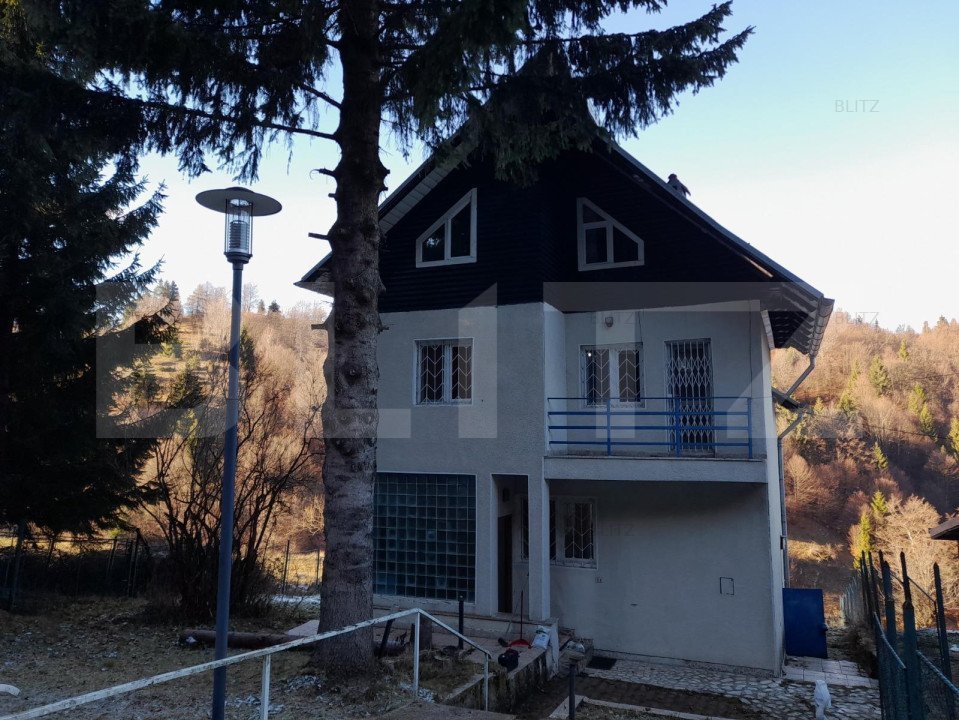 CASĂ cu ŞEMINEU 6 camere zona ŞIRNEA