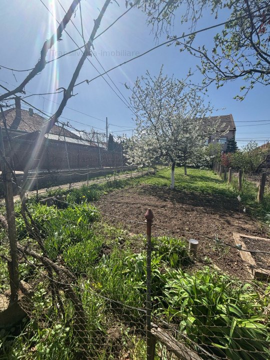 Casa batraneasca cu gradina superba si livada | 490 mp teren | Zona linistita