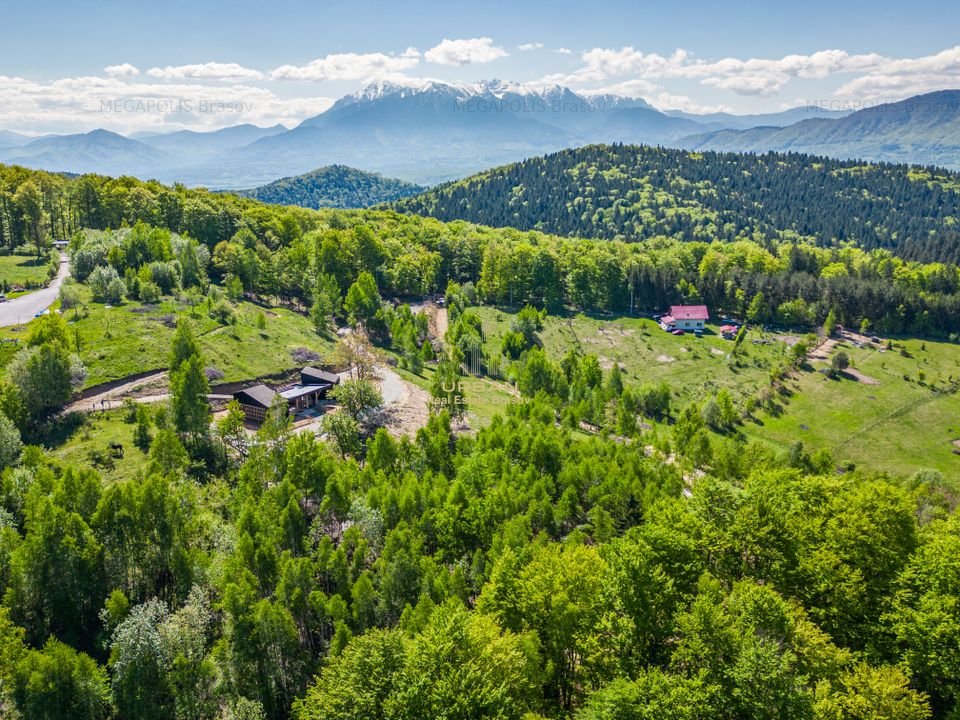 Case de vacanta Poiana Marului, Brasov