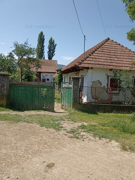 De vânzare casa particulara în Borosneu Mic