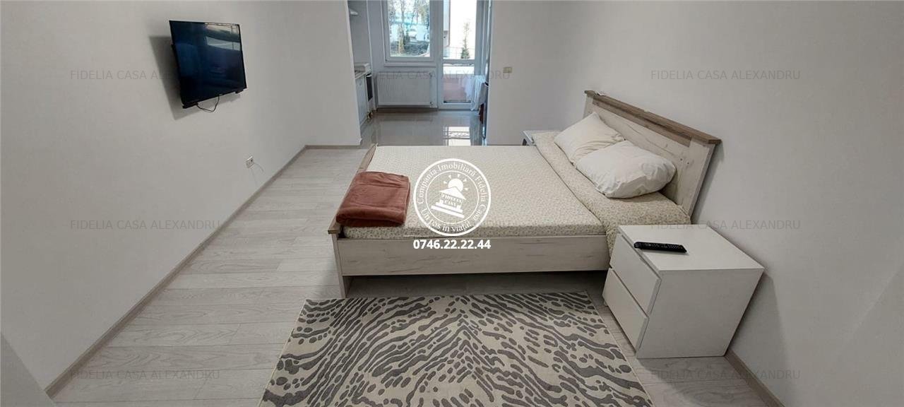 Apartament cu 1 camera de inchiriat in Valea Lupului