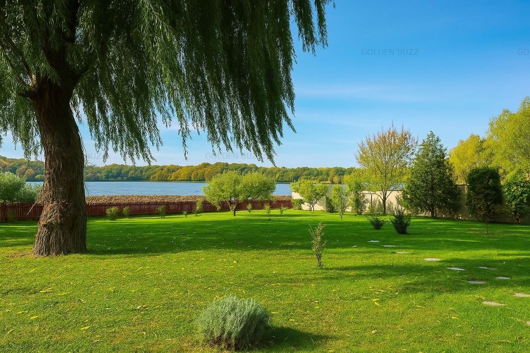 Vilă superbă pe malul lacului Snagov - 28 m deschidere la lac