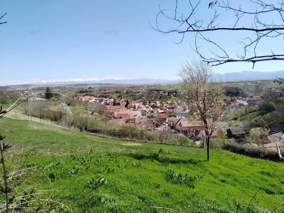 Casa Traditionala Ocna Sibiului 3 camere