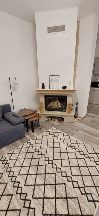 Casa cocheta de inchiriat Kiseleff Aviatorilor, 3 min parc Herastrau si metrou
