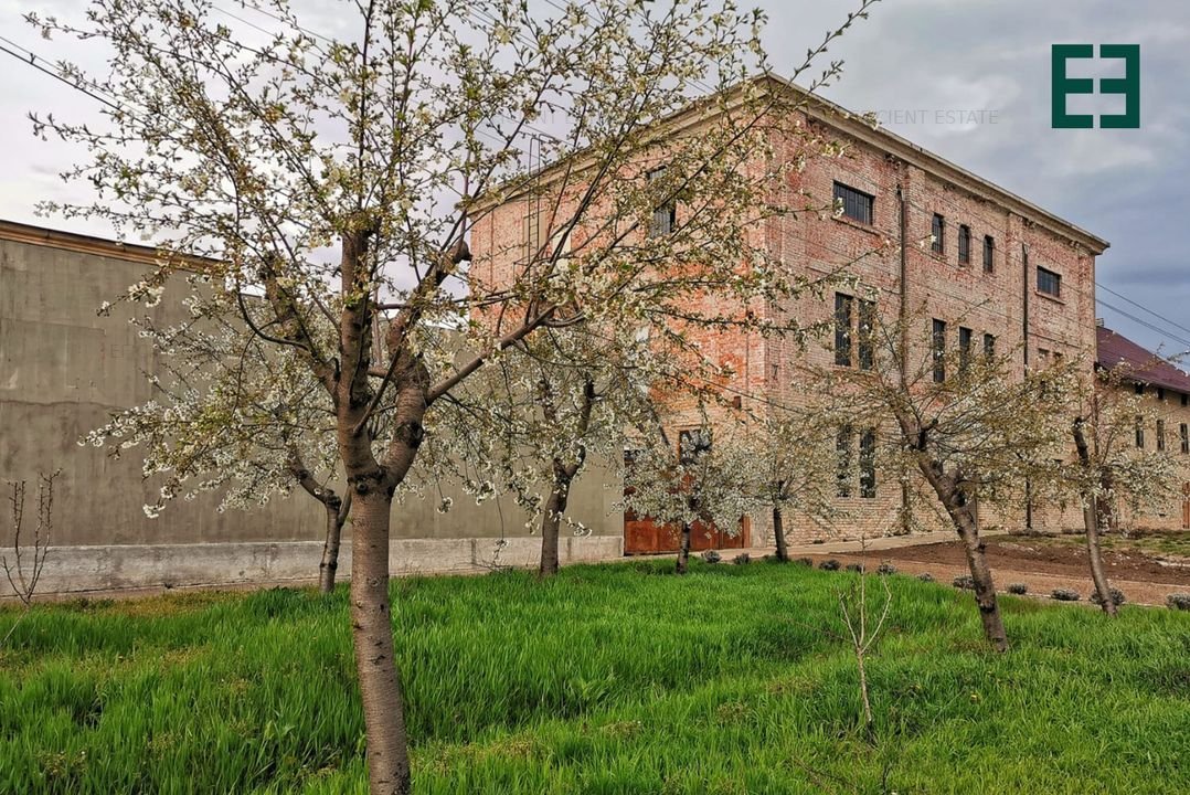 Spatiu comercial cu destinatii multiple - Nadlac