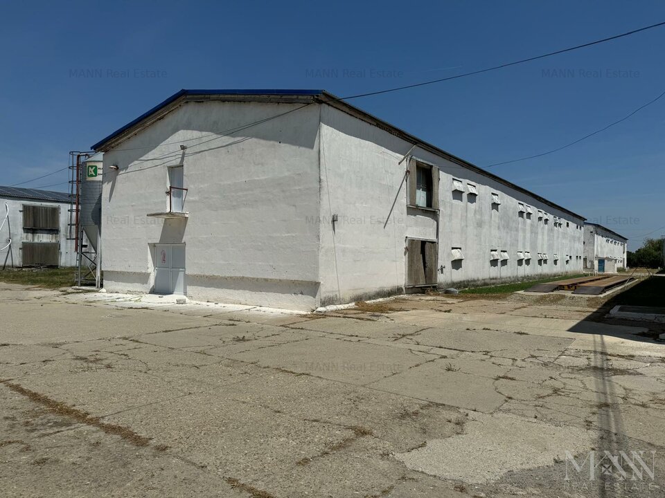 Hala | Spatiu depozitare, productie de inchiriat | Les, Bihor
