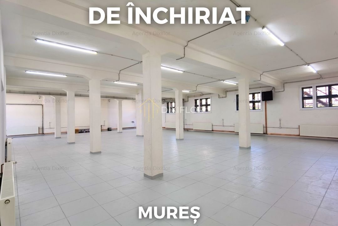 Spaţiu industrial multifuncţional | zona semicentrală
