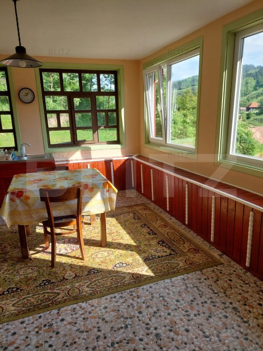 Casa la munte, 5 camere, 4800 mp teren, zona Ocolis