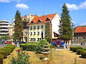 Vânzare imobil persoana fizica în Brad, Central